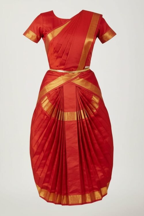 Gold Zari Bharatnatyam Costume Set