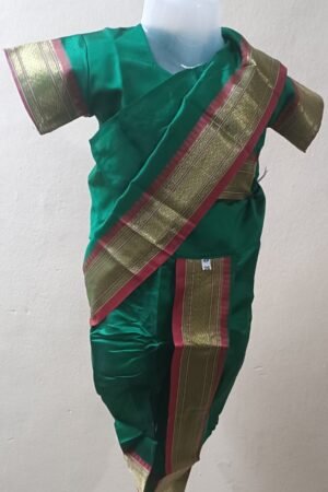 Traditional Indian Girl’s Saree